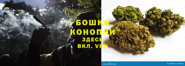 PSILOCYBIN Бронницы